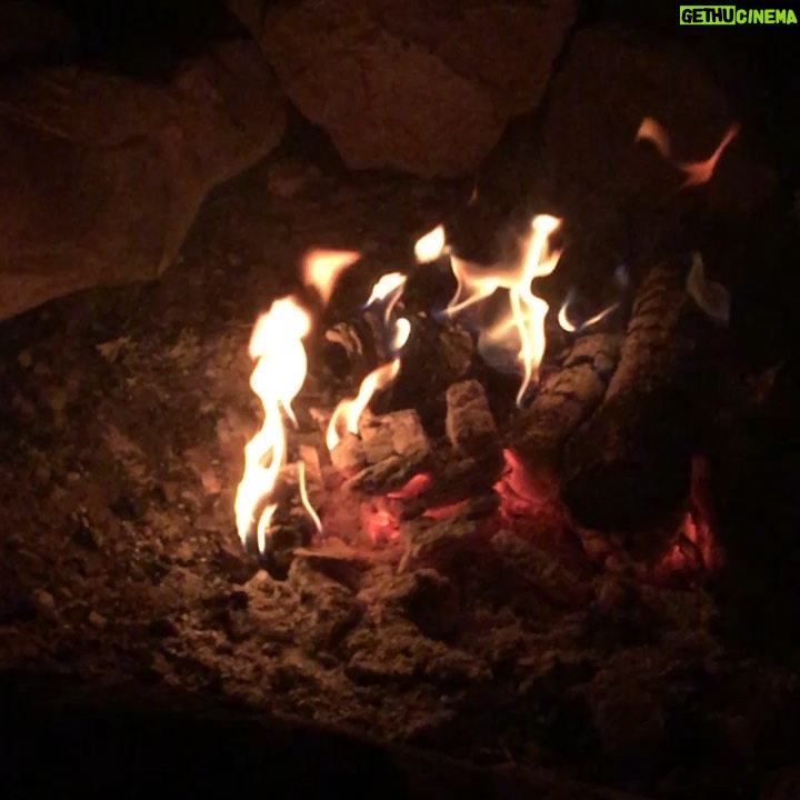 Neil deGrasse Tyson Instagram - With thousand-degree coals readying for an evening of S’mores, bear witness to the fleeting flames of a campfire in slow-motion — a dance of plasma, choreographed by the forces of thermodynamics. (High Rolls, New Mexico - August 2019)