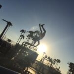 Neil deGrasse Tyson Instagram - For most of our life on Earth we either resist or succumb to the force of gravity. At Muscle Beach, gravity loses every time. (Venice, California - Sept 2016)