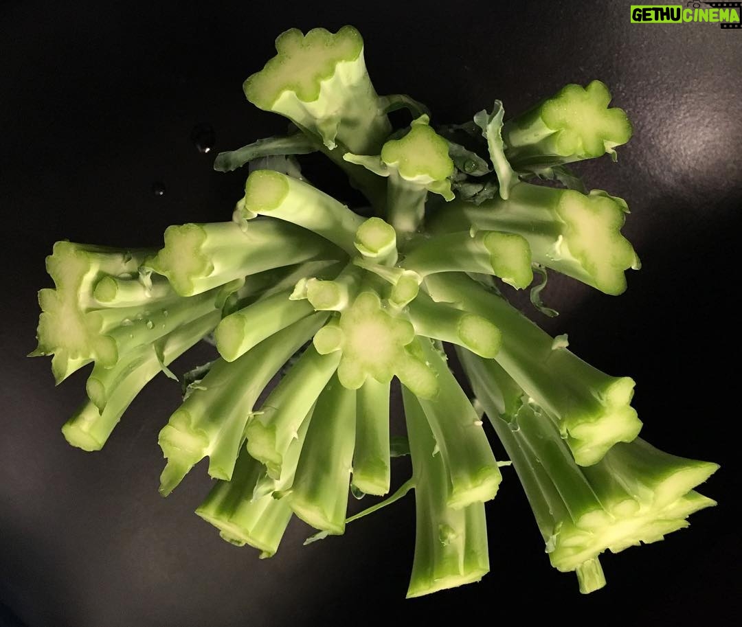 Neil deGrasse Tyson Instagram - In case you ever wondered, this is what fully decapitated broccoli looks like.