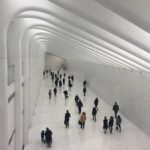 Neil deGrasse Tyson Instagram - In large but enclosed volumes, Humans resemble Ants as we move through them.  Or is it the Ants who look Human, as they move through their own architectural spaces.  World Trade Center Occulus, New York City.  December 2015.
