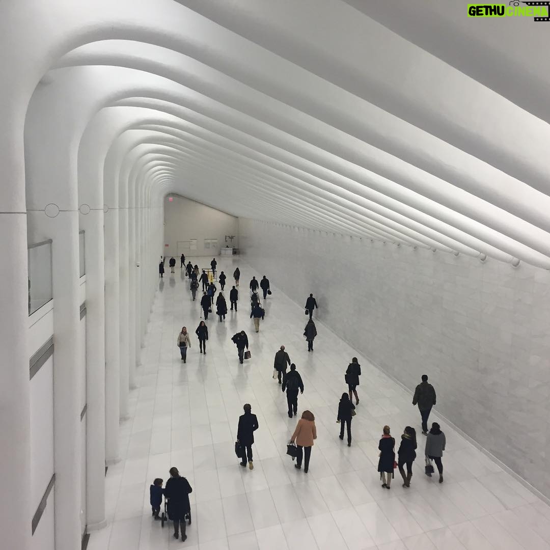 Neil deGrasse Tyson Instagram - In large but enclosed volumes, Humans resemble Ants as we move through them. Or is it the Ants who look Human, as they move through their own architectural spaces. World Trade Center Occulus, New York City. December 2015.
