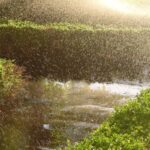 Neil deGrasse Tyson Instagram - Flash photo at a water spray, amid bushes and the glare of a low, setting Sun. The effect, to me, evokes a late 19th century impressionist painting. [World Financial Center plaza, New York City. June 2001.]
