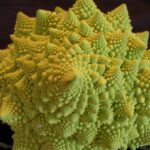 Neil deGrasse Tyson Instagram - Fractal Food. If math-fluent Space Aliens coveted anything we eat, it would surely be #Romanesco Broccoli, which looks not of this Earth. The large-scale spiral pattern repeats at intermediate as well as small scales. A tell-tale feature of #fractals. A tray of it appeared in the bar scene of “Star Wars: The Force Awakens”. Evidence of its popularity, even in galaxies far, far away . (Summer 2008, Fairbanks, Alaska)