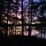 Neil deGrasse Tyson Instagram - At higher latitudes (north or south) #twilight lasts vastly longer than in the tropics - affording ample opportunities for photos such as this. Lake shoreline. Dusk, New Hampshire. June 2016.