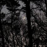 Neil deGrasse Tyson Instagram - ⠀⠀⠀⠀⠀⠀⠀⠀⠀ Moments ago I captured the Moon. You can too, if you act real soon. ⠀⠀⠀⠀⠀⠀⠀⠀⠀ That sickle in the sky We call waxing crescent. ⠀⠀⠀⠀⠀⠀⠀⠀⠀ Behold evening twilight. Our Moon — luminescent. ⠀⠀⠀⠀⠀⠀⠀⠀⠀ [iPhone 14 Pro; Saturday, January 13, 2024; 17:10 ET; Handheld]