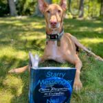 Neil deGrasse Tyson Instagram - ⠀⠀⠀⠀⠀⠀⠀⠀⠀ Leo from Virginia recommends Starry Messenger to fellow dogs concerned for the future of civilization. ⠀⠀⠀⠀⠀⠀⠀⠀⠀ He also thinks you should pick up a copy for your pet human. #InternationalDogDay