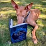 Neil deGrasse Tyson Instagram - ⠀⠀⠀⠀⠀⠀⠀⠀⠀ Reading his pre-release copy of Starry Messenger, Leo from Virginia was especially interested in the paragraph on Dog life-expectancy, in the final chapter titled “Life & Death”. #InternationalDogDay [Photo by Drew Pulley, Leo's pet human]