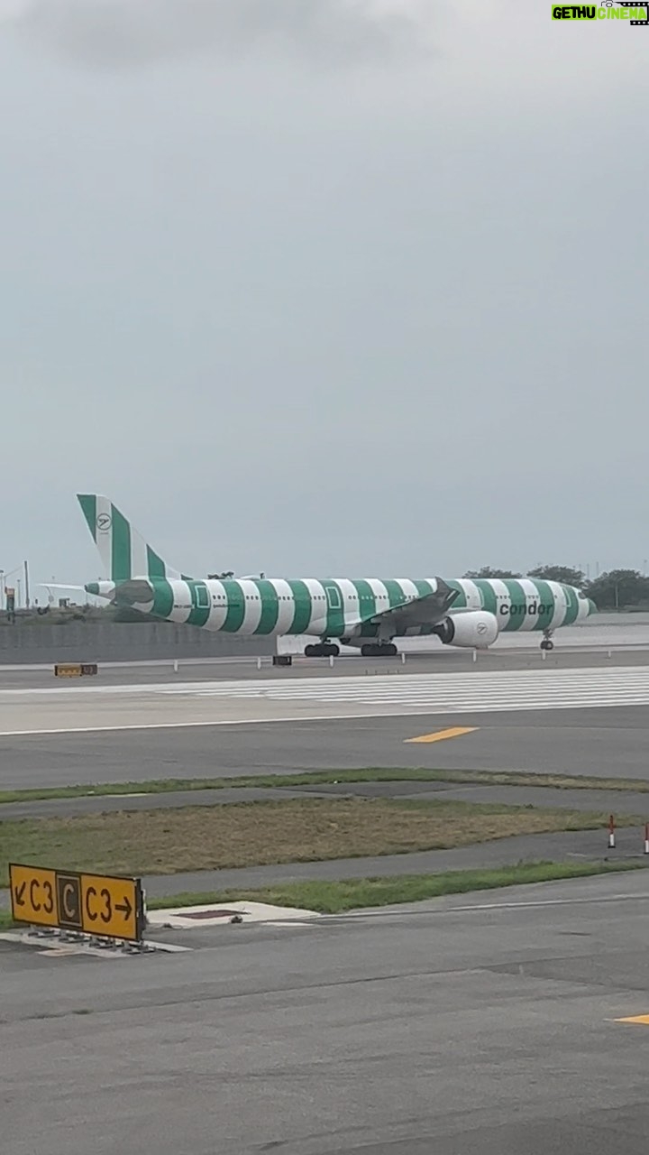 Nev Schulman Instagram - Nobody: Condor Airlines: