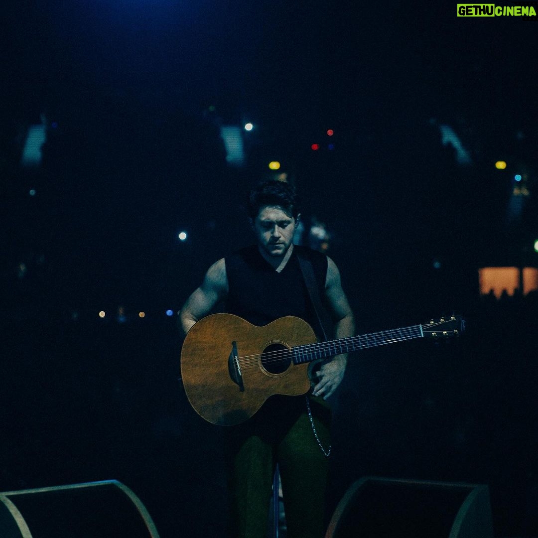 Niall Horan Instagram - Night Six Birmingham Resorts World Arena
