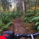 Nick Robinson Instagram - 🏁🌲