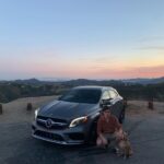 Nick Robinson Instagram - 1 like = 1 pet for Cooper #MBAmbassador
