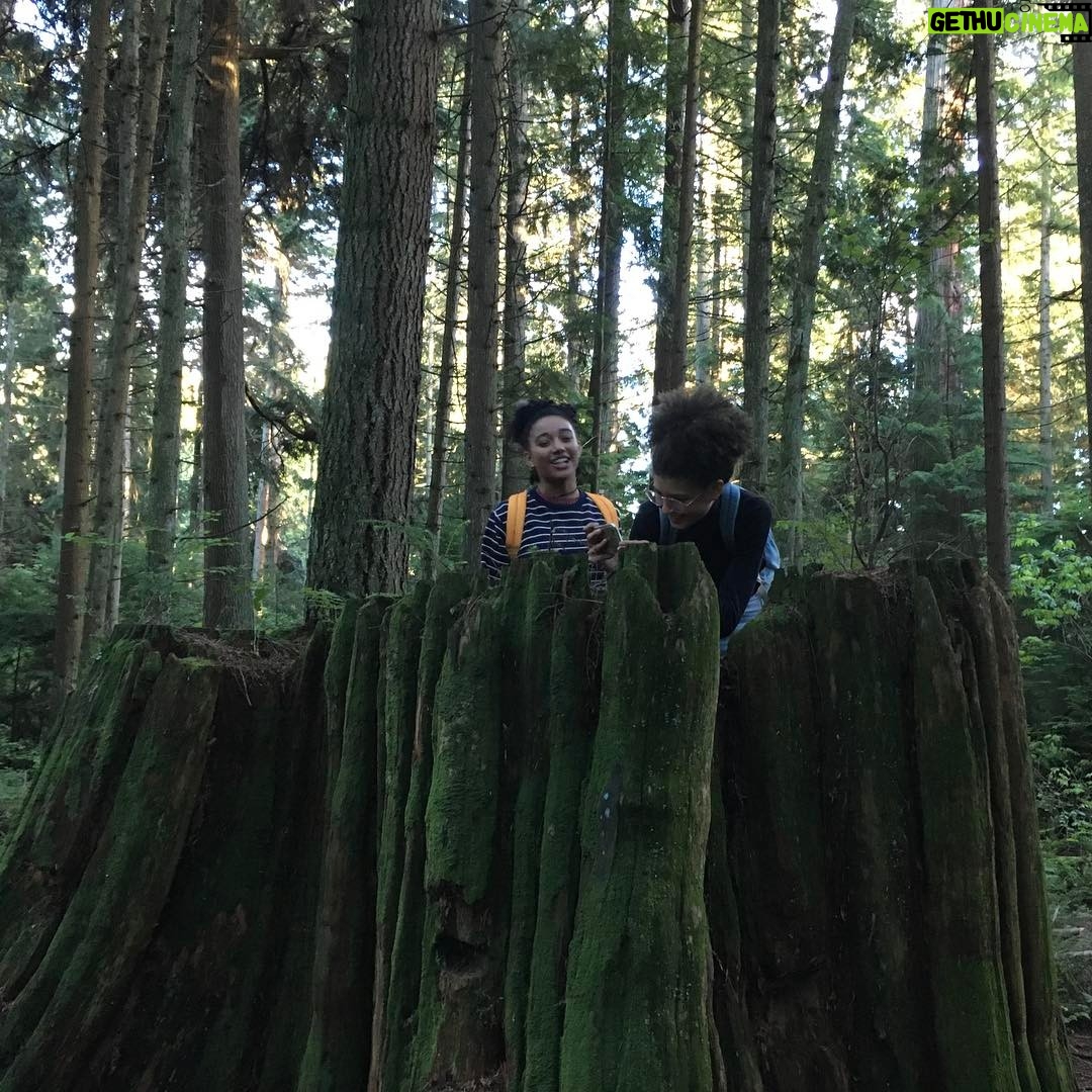 Nick Robinson Instagram - #tbt to that time Amandla and I found a big stump