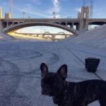 Nick Robinson Instagram - Mean muggin' LA River