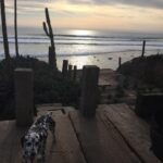 Nick Robinson Instagram - Mexico!