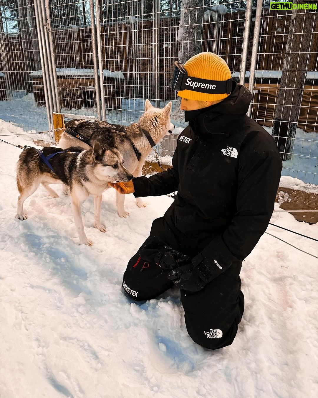 Nicky Romero Instagram - Magical Lapland 💫 This has to be one of the most beautiful holidays I have ever had, it’s truly a dream to walk around in a snowy nature, fresh air, a breathtaking scenery. Btw the husky doggies are taken great care of. Swipe for some magic moments Arctic Circle, Finland