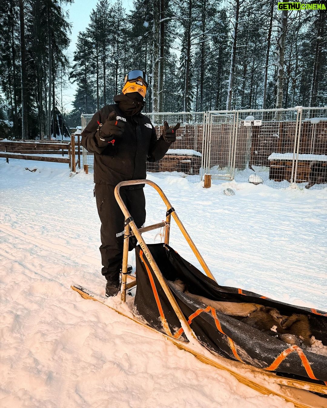 Nicky Romero Instagram - Magical Lapland 💫 This has to be one of the most beautiful holidays I have ever had, it’s truly a dream to walk around in a snowy nature, fresh air, a breathtaking scenery. Btw the husky doggies are taken great care of. Swipe for some magic moments Arctic Circle, Finland