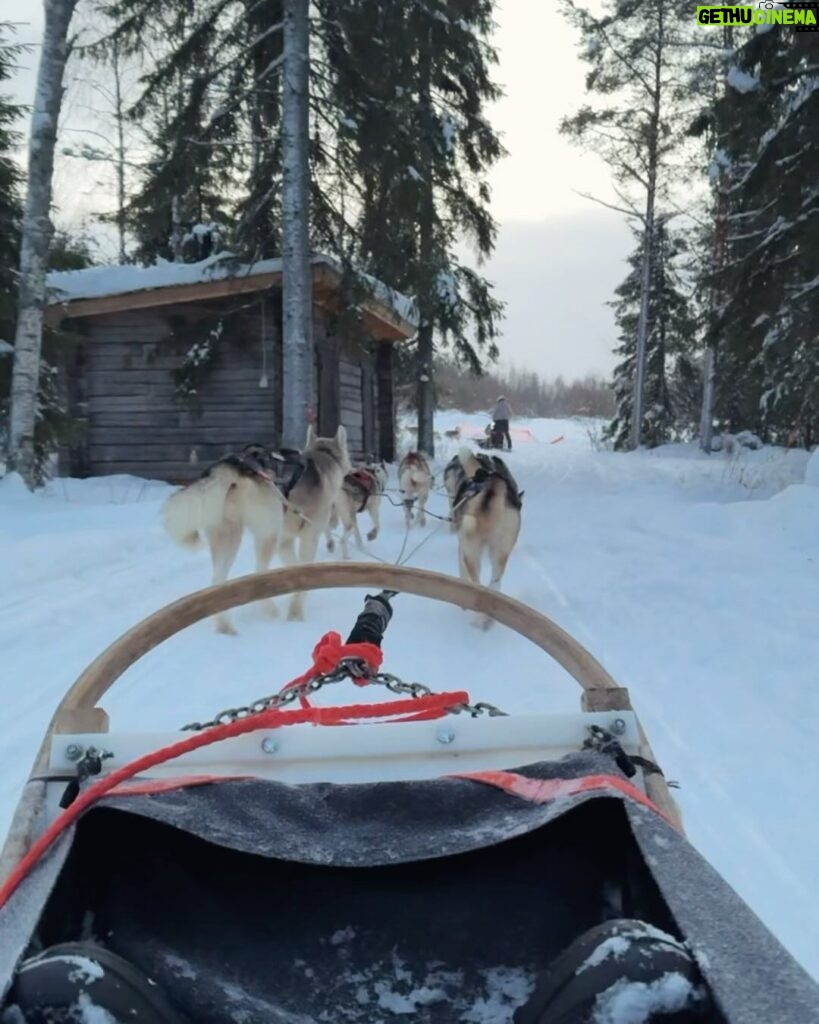 Nicky Romero Instagram - Magical Lapland 💫 This has to be one of the most beautiful holidays I have ever had, it’s truly a dream to walk around in a snowy nature, fresh air, a breathtaking scenery. Btw the husky doggies are taken great care of. Swipe for some magic moments Arctic Circle, Finland