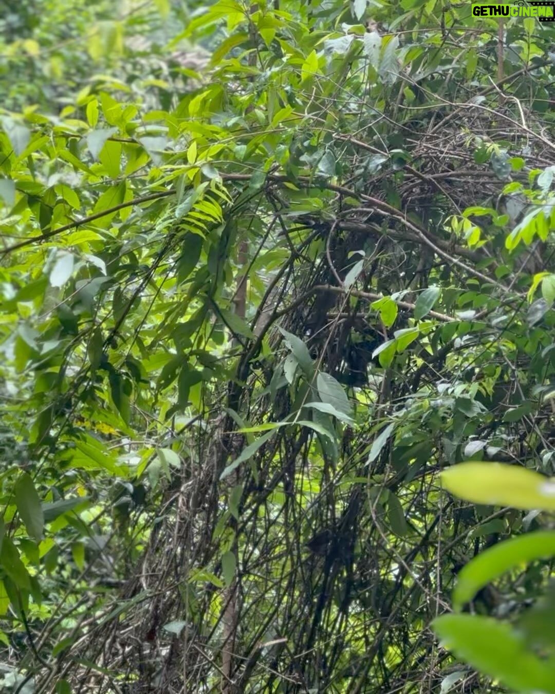 Nicolas Prattes Instagram - 2024 com a Força Da Natureza 🍀
