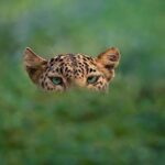 Nicolas Prattes Instagram – Oie