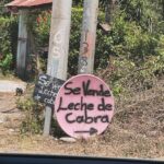 Nicolas Prattes Instagram - Quem Sabe… ….. ….. ….. ❤️
