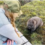 Nicole Kidman Instagram - The beauty of Cradle Mountain Cradle Mountain National Park, Tasmania