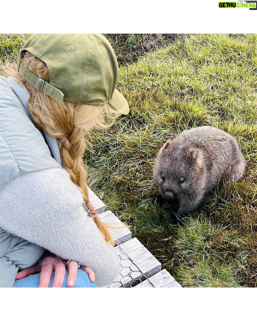 Nicole Kidman Instagram - The beauty of Cradle Mountain Cradle Mountain National Park, Tasmania