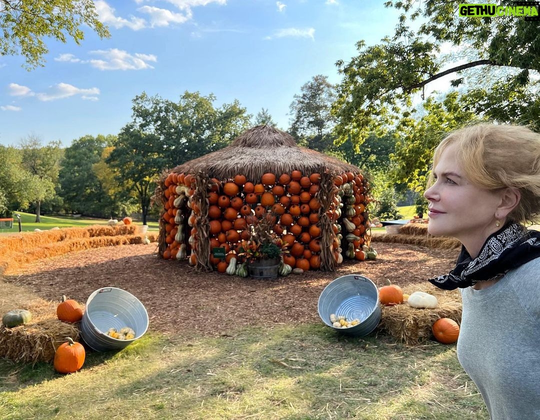 Nicole Kidman Instagram - 🍁🎃 Nashville, Tennessee