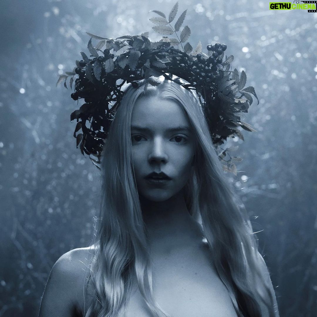 Nicole Kidman Instagram - Sending so much love to the incredible @AnyaTaylorJoy & @Bjork for #WomanCrushWednesday today in honor of their unbelievable performances in #TheNorthman 💕❄ #WCW