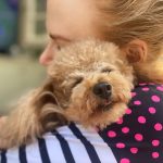 Nicole Kidman Instagram - #Julian 🥰🐶