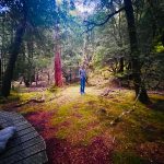 Nicole Kidman Instagram - The beauty of Cradle Mountain Cradle Mountain National Park, Tasmania