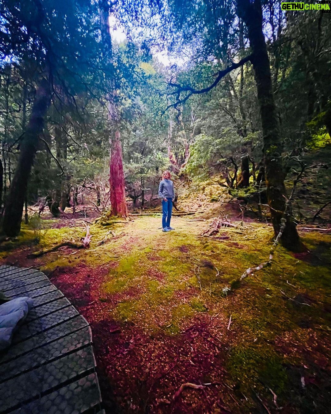 Nicole Kidman Instagram - The beauty of Cradle Mountain Cradle Mountain National Park, Tasmania