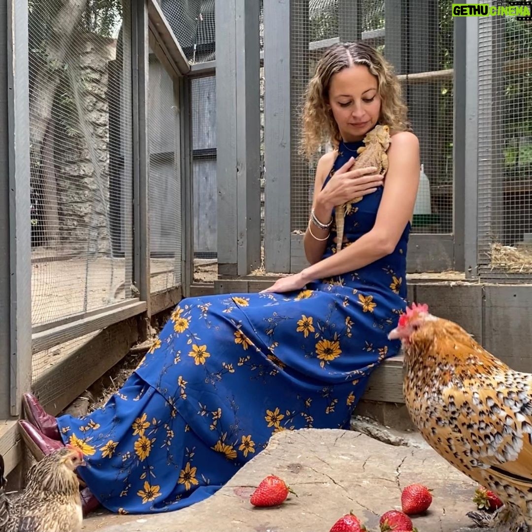 Nicole Richie Instagram - I said to the animals “who wants to meet an icon?” and the rest is history. Watch us Martha simps on #MarthaGetsDownAndDirty. #NikkiFresh