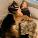Nicole Richie Instagram - Its #NationalPetDay & I dont know how I can possibly fit my favorite photos into only 10 slides but dammit I will try. Here are Roki, Xavi, Tigerlily, Speedy, Sammy, April, Queen Latifah, Popsicles, Sunny, Daisy, Ivy, Dixie Chick, & my bees who dont have names. And last but not least, Iro, who is no longer with us but his spirit is still very much alive in our house & our hearts.