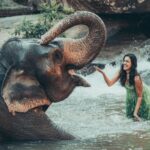 Niharika Konidela Instagram – 🤍🐘 
.
@pickyourtrail @ewoke.studio @prashantiramesh