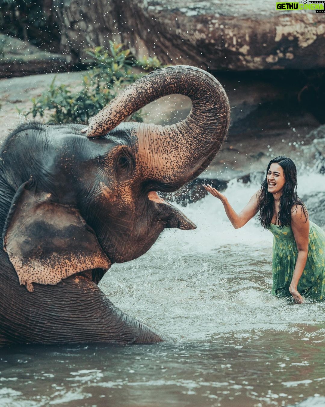 Niharika Konidela Instagram - 🤍🐘 . @pickyourtrail @ewoke.studio @prashantiramesh