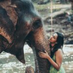 Niharika Konidela Instagram – Find someone who’ll look at you like how I’m looking at the elephant 🤍
.
@pickyourtrail @dlc.photographer