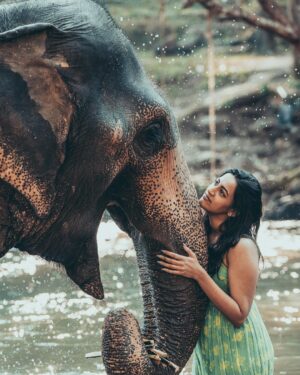 Niharika Konidela Instagram - Find someone who’ll look at you like how I’m looking at the elephant 🤍 
.
@pickyourtrail @dlc.photographer