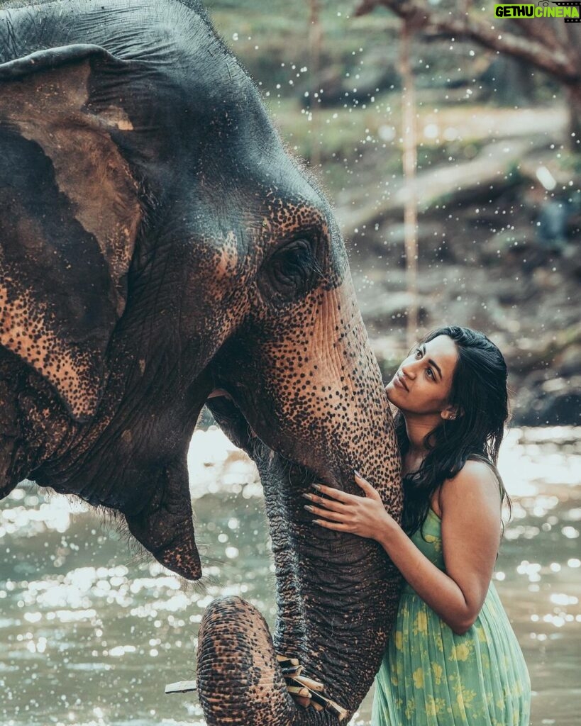 Niharika Konidela Instagram - Find someone who’ll look at you like how I’m looking at the elephant 🤍 . @pickyourtrail @dlc.photographer