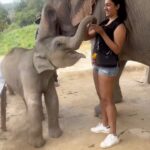 Niharika Konidela Instagram – Holiday of dreams! 😍🐘
.
Thank you @pickyourtrail , for making my holiday hassle free and super fun! I loved every bit of it! 💚
.
Download @pickyourtrail app now, and plan your vacation! 
.
#hasslefreeholidays with #pickyourtrail #chailaiorchidresort
@chailaiorchid @endlessummer.shop @truffle_india @prashantiramesh The Chai Lai Orchid