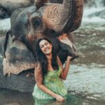 Niharika Konidela Instagram – 🤍🐘 
.
@pickyourtrail @ewoke.studio @prashantiramesh