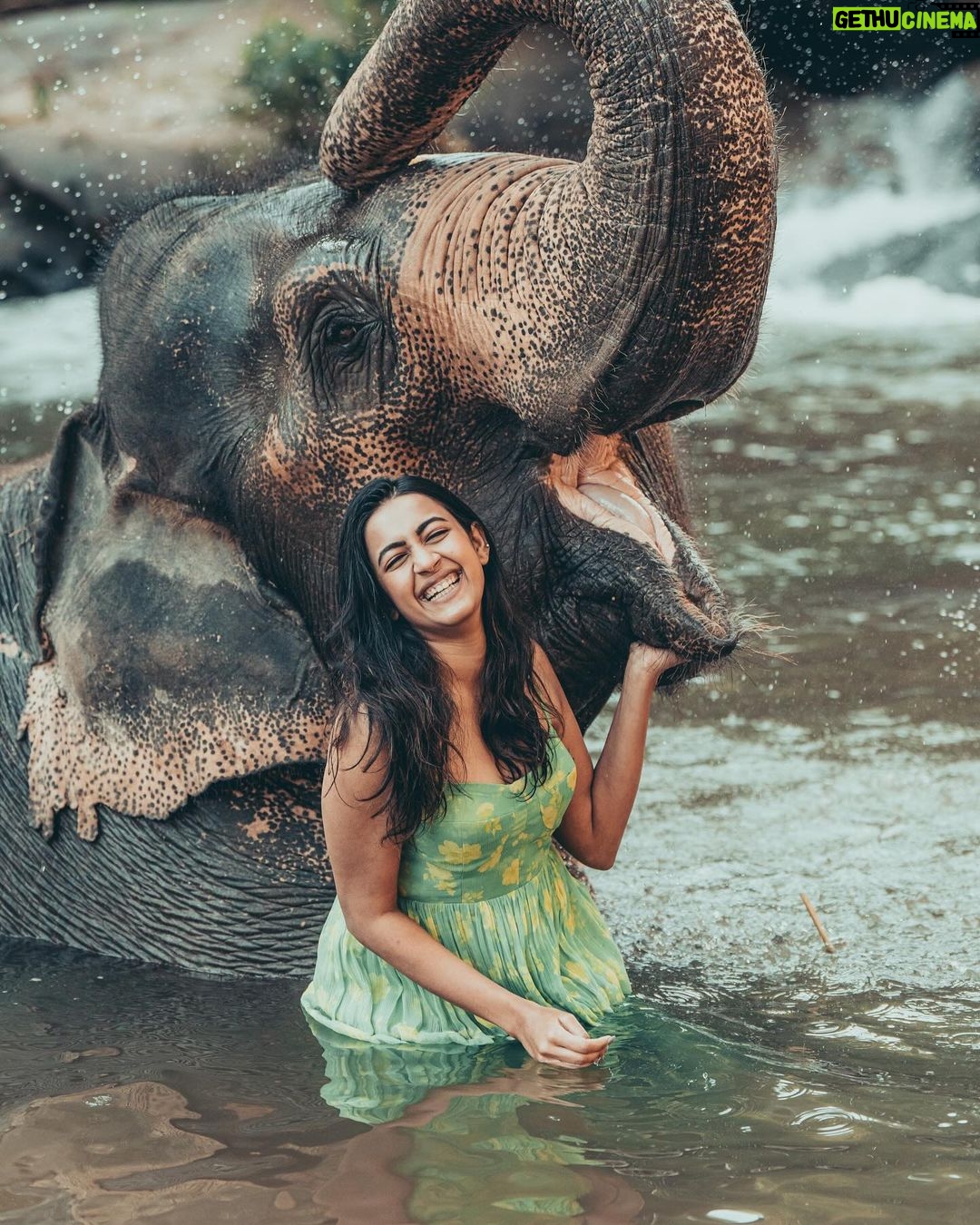 Niharika Konidela Instagram - 🤍🐘 . @pickyourtrail @ewoke.studio @prashantiramesh
