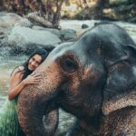 Niharika Konidela Instagram – 🤍🐘
.
@pickyourtrail @ewoke.studio @prashantiramesh