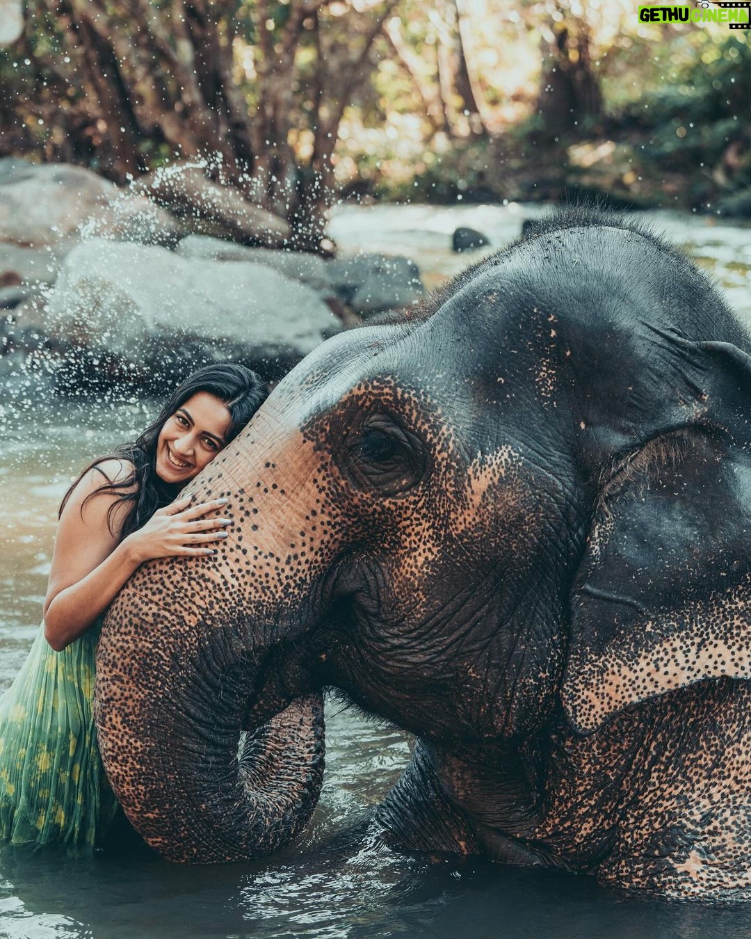 Niharika Konidela Instagram - 🤍🐘 . @pickyourtrail @ewoke.studio @prashantiramesh