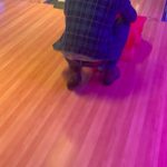 Nikki Garcia Instagram - 🎳 ❄️🥂🦅