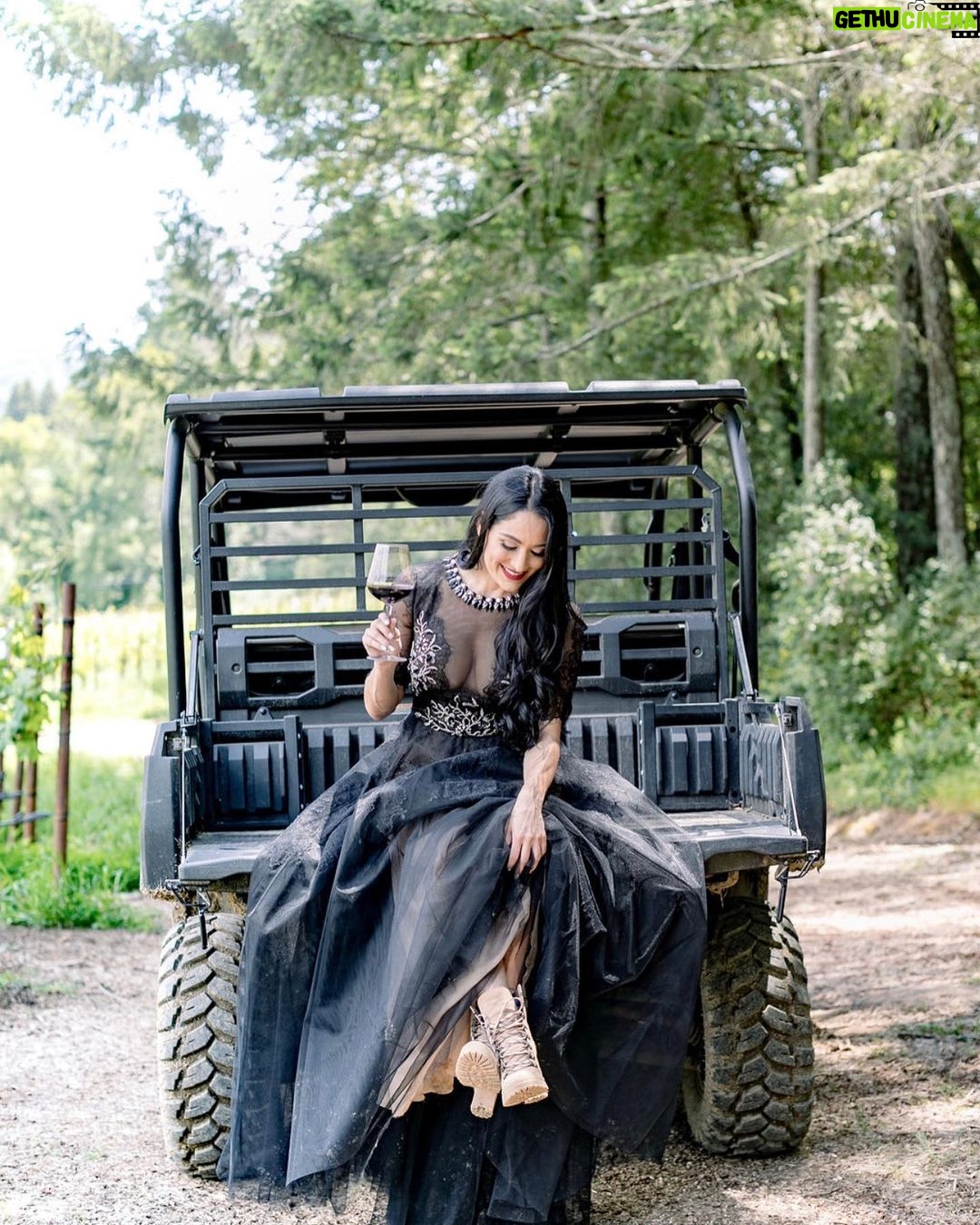 Nikki Garcia Instagram - Throwback to some of my favorite wine photography by @mcalderonphoto & @claireplanetaphotography πΈ The very last photo is the Bonita Bonita Holiday Bundle that you can purchase right now and to make it a very special Christmas gift we are adding a 10 min tasting zoom with @brie and me! π·ππ₯π
π» We wanted to give a special touch for our Bonita Army this holiday season! β€οΈ Head to @bonitabonitawine .com and the first 50 will receive an email about setting up those times in the New Year! π Happy Holidays!!! ππ·π₯πΎπ PS Holiday Bundle includes our Bubbles, Zinfandel, and Sauvignon Blanc plus FREE ground shipping! First 50 get the personalized zoom. π