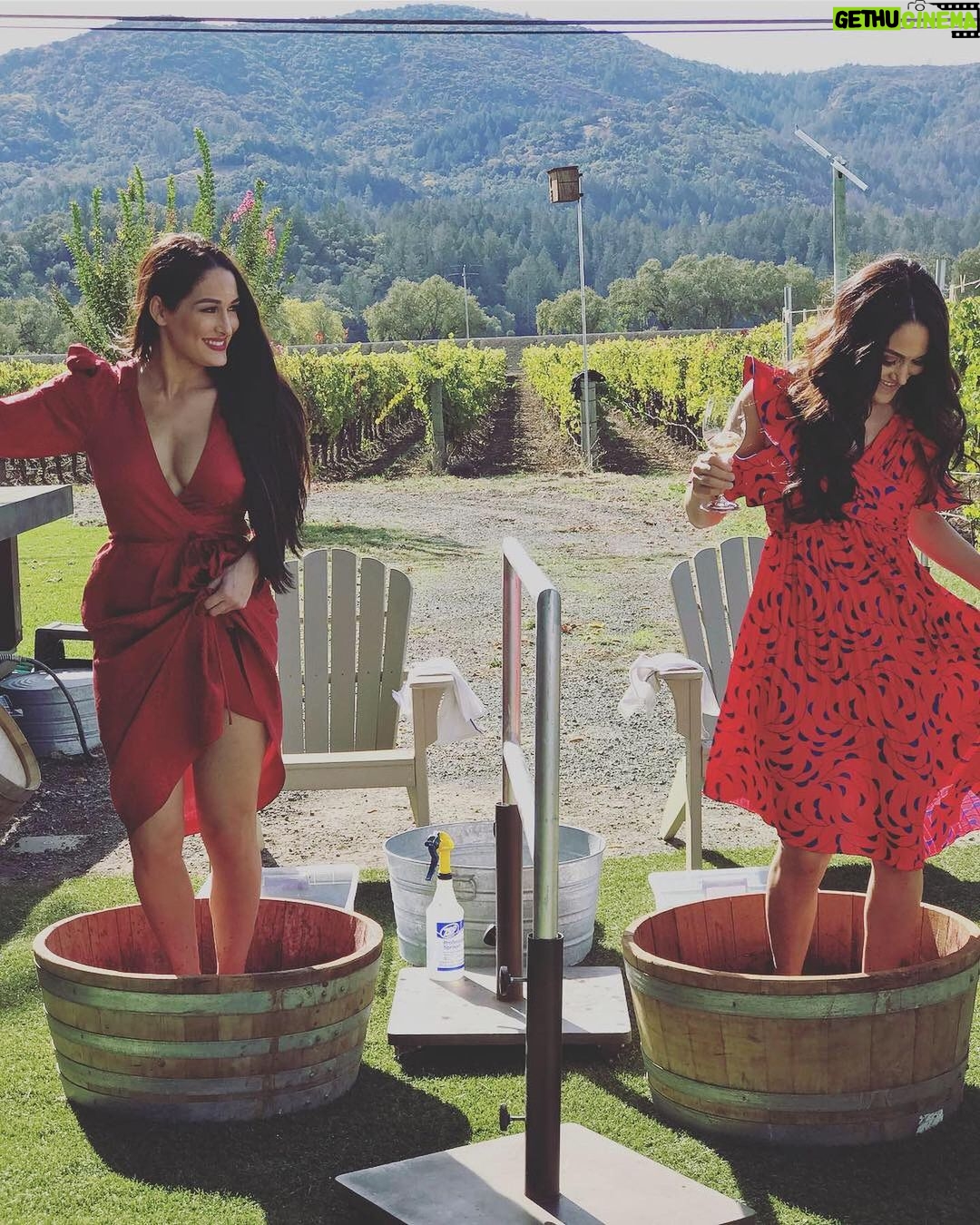 Nikki Garcia Instagram - Throwback to some of my favorite wine photography by @mcalderonphoto & @claireplanetaphotography πΈ The very last photo is the Bonita Bonita Holiday Bundle that you can purchase right now and to make it a very special Christmas gift we are adding a 10 min tasting zoom with @brie and me! π·ππ₯π
π» We wanted to give a special touch for our Bonita Army this holiday season! β€οΈ Head to @bonitabonitawine .com and the first 50 will receive an email about setting up those times in the New Year! π Happy Holidays!!! ππ·π₯πΎπ PS Holiday Bundle includes our Bubbles, Zinfandel, and Sauvignon Blanc plus FREE ground shipping! First 50 get the personalized zoom. π