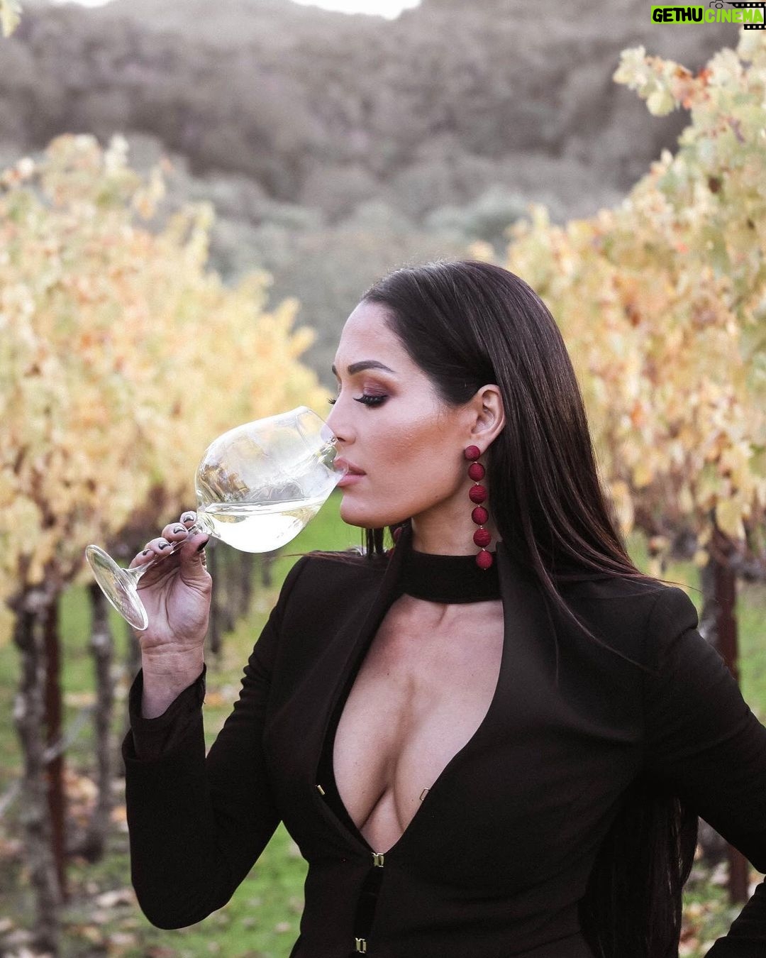 Nikki Garcia Instagram - Throwback to some of my favorite wine photography by @mcalderonphoto & @claireplanetaphotography πΈ The very last photo is the Bonita Bonita Holiday Bundle that you can purchase right now and to make it a very special Christmas gift we are adding a 10 min tasting zoom with @brie and me! π·ππ₯π
π» We wanted to give a special touch for our Bonita Army this holiday season! β€οΈ Head to @bonitabonitawine .com and the first 50 will receive an email about setting up those times in the New Year! π Happy Holidays!!! ππ·π₯πΎπ PS Holiday Bundle includes our Bubbles, Zinfandel, and Sauvignon Blanc plus FREE ground shipping! First 50 get the personalized zoom. π
