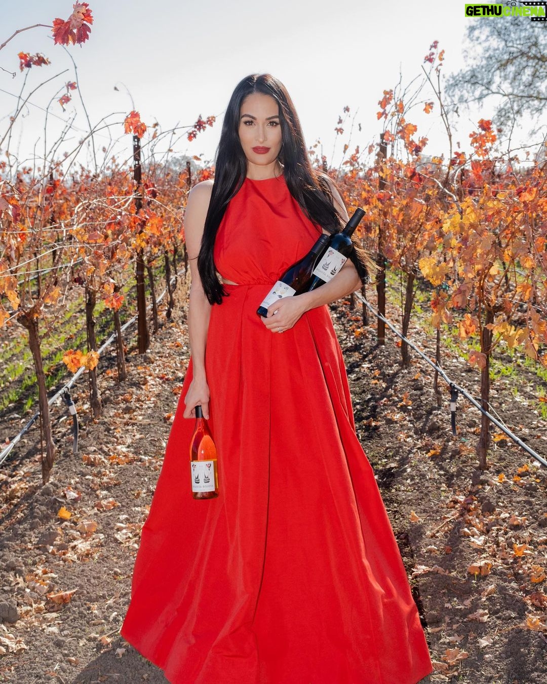 Nikki Garcia Instagram - Throwback to some of my favorite wine photography by @mcalderonphoto & @claireplanetaphotography πΈ The very last photo is the Bonita Bonita Holiday Bundle that you can purchase right now and to make it a very special Christmas gift we are adding a 10 min tasting zoom with @brie and me! π·ππ₯π
π» We wanted to give a special touch for our Bonita Army this holiday season! β€οΈ Head to @bonitabonitawine .com and the first 50 will receive an email about setting up those times in the New Year! π Happy Holidays!!! ππ·π₯πΎπ PS Holiday Bundle includes our Bubbles, Zinfandel, and Sauvignon Blanc plus FREE ground shipping! First 50 get the personalized zoom. π