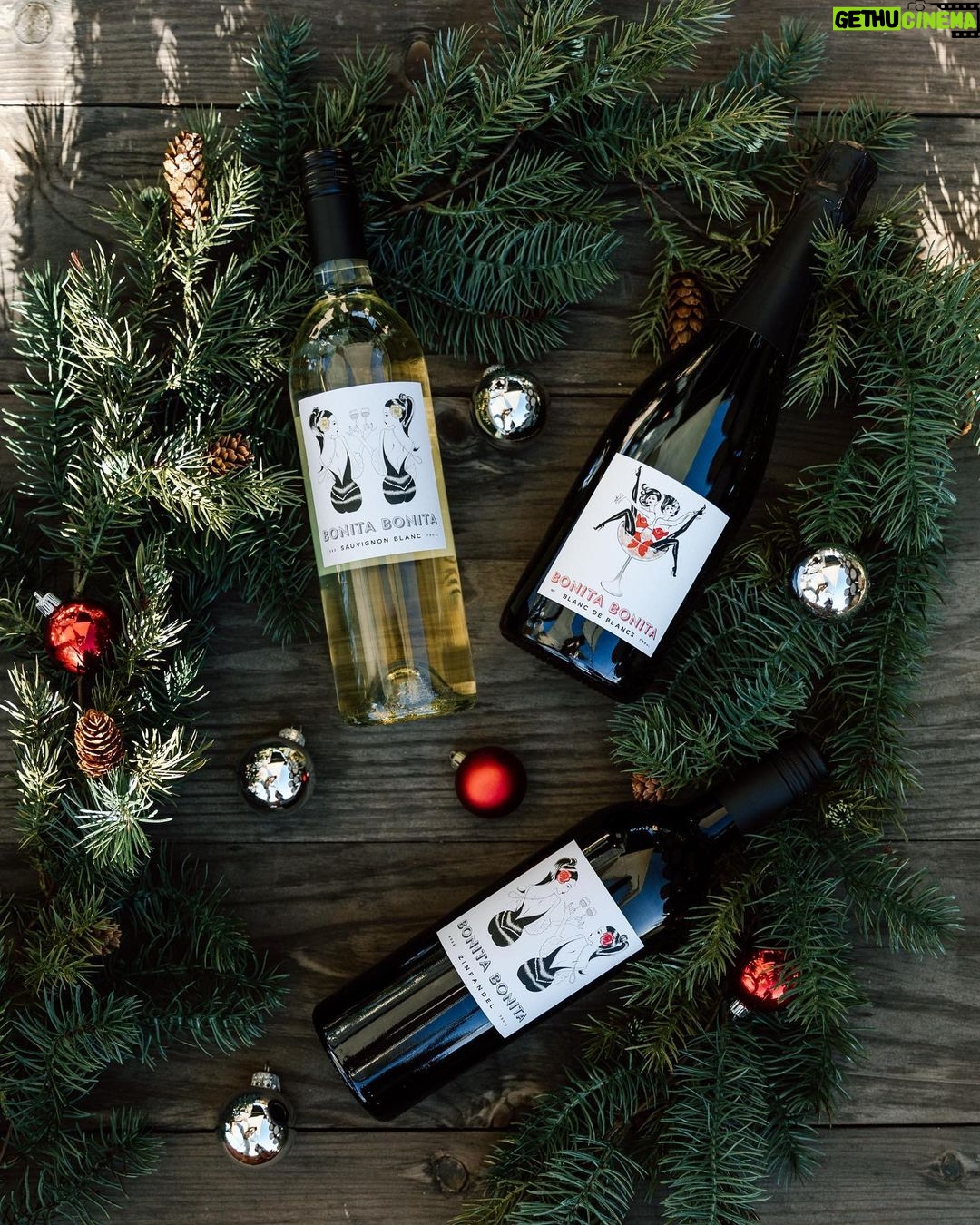 Nikki Garcia Instagram - Throwback to some of my favorite wine photography by @mcalderonphoto & @claireplanetaphotography πΈ The very last photo is the Bonita Bonita Holiday Bundle that you can purchase right now and to make it a very special Christmas gift we are adding a 10 min tasting zoom with @brie and me! π·ππ₯π
π» We wanted to give a special touch for our Bonita Army this holiday season! β€οΈ Head to @bonitabonitawine .com and the first 50 will receive an email about setting up those times in the New Year! π Happy Holidays!!! ππ·π₯πΎπ PS Holiday Bundle includes our Bubbles, Zinfandel, and Sauvignon Blanc plus FREE ground shipping! First 50 get the personalized zoom. π