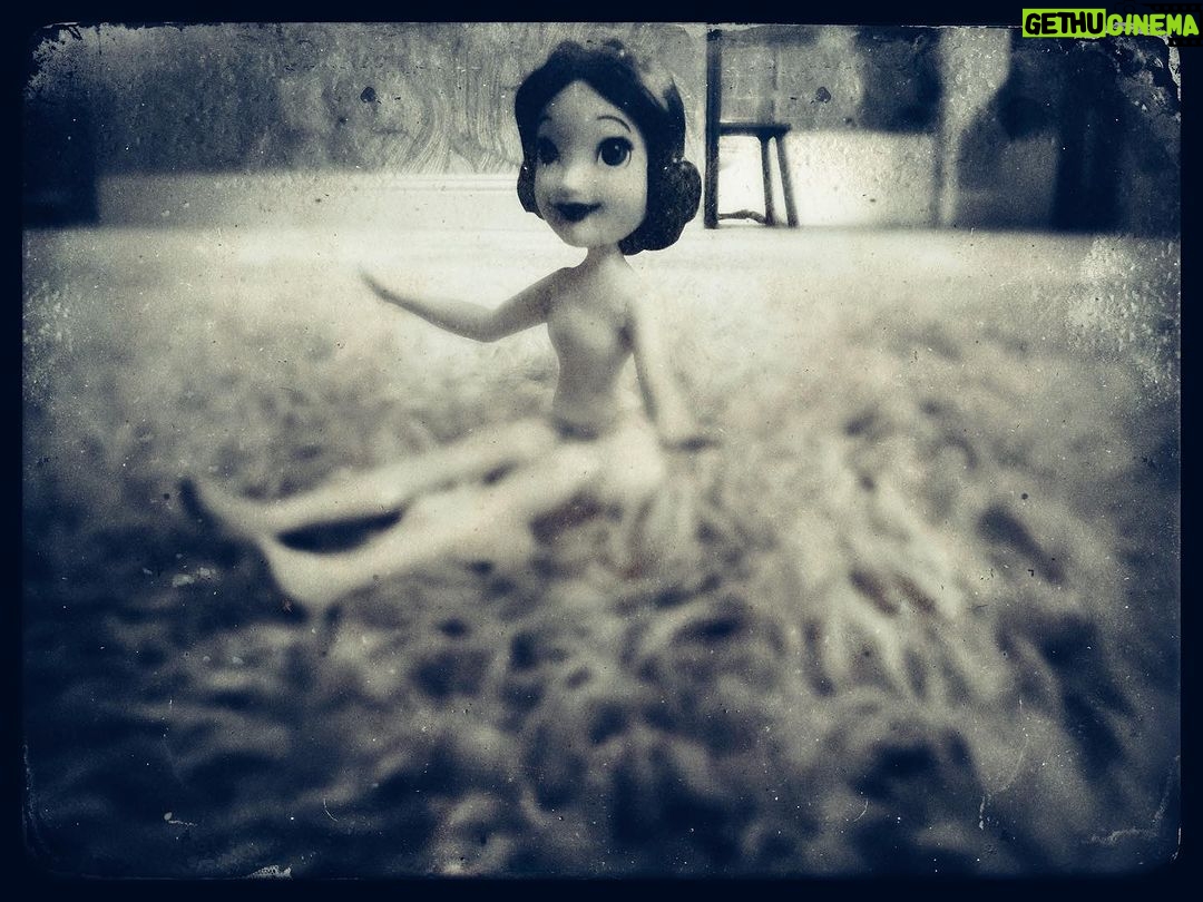 Nikki Sixx Instagram - Things are getting weird around here…